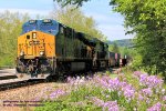 CSX 3187- 5369, with Q138, just crossed Sewickley Creek at BF-297 CSX Pittsburgh sub, Gratztown, Pennsylvania. May 12, 2016. 